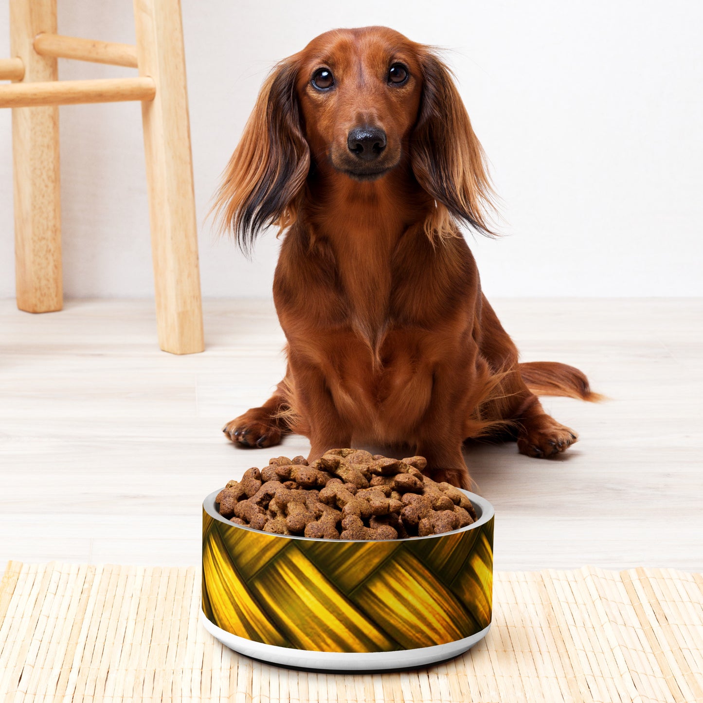 Pet bowl